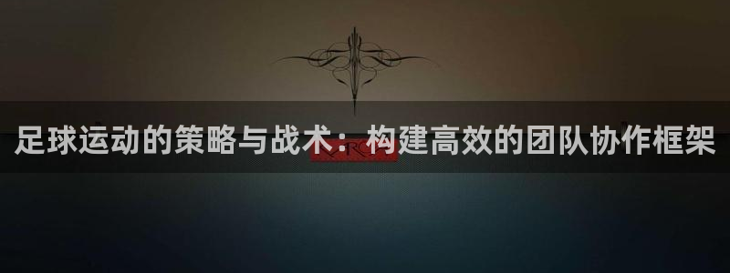 球王会体育：足球运动的策略与战术：构建高效的团队协作框架