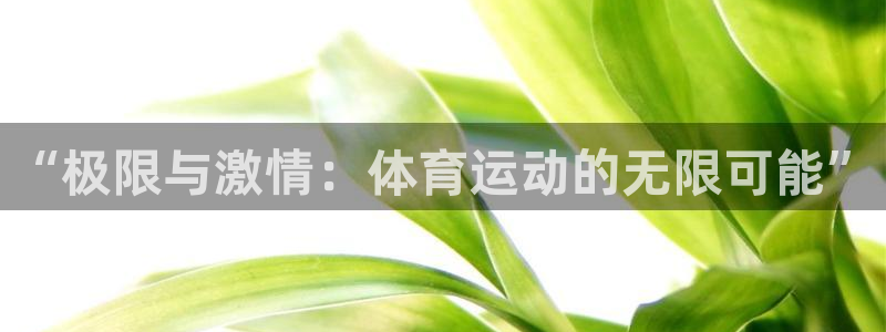 球王会体育：“极限与激情：体育运动的无限可能”