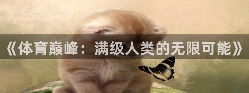 球王会体育：《体育巅峰：满级人类的无限可能》