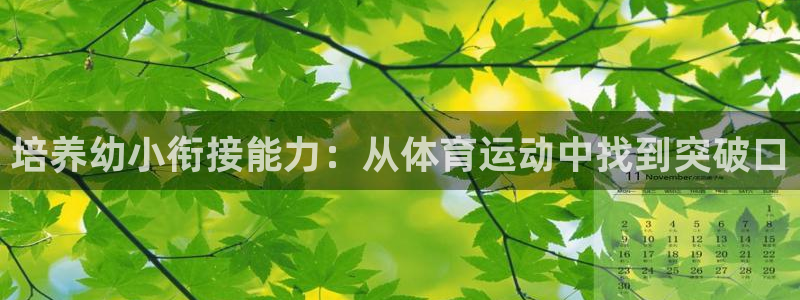 球王会体育：培养幼小衔接能力：从体育运动中找到突破口