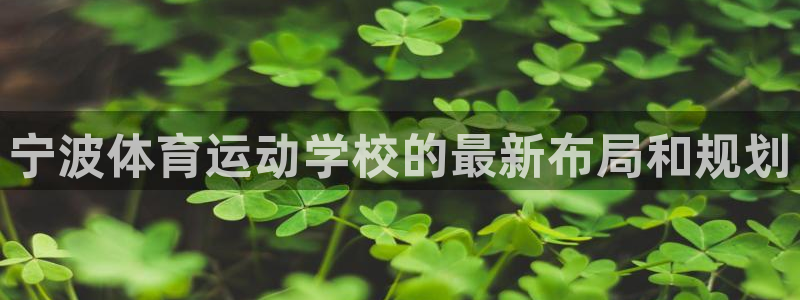 球王会体育：宁波体育运动学校的最新布局和规划