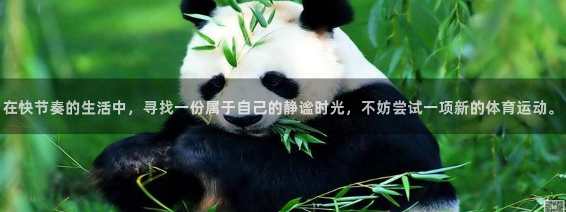 球王会体育：在快节奏的生活中，寻找一份属于自己的静谧时光，不妨尝试一项新的体育运动。