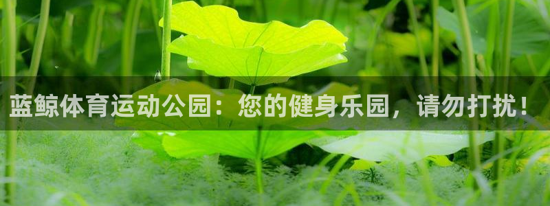 球王会体育：蓝鲸体育运动公园：您的健身乐园，请勿打扰！