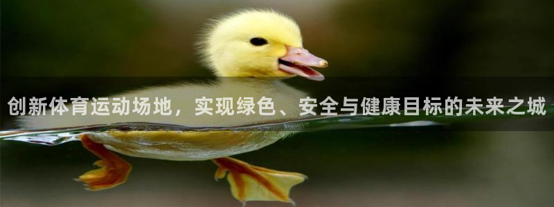 球王会体育：创新体育运动场地，实现绿色、安全与健康目标的未来之城