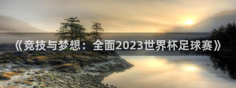 球王会体育：《竞技与梦想：全面2023世界杯足球赛》
