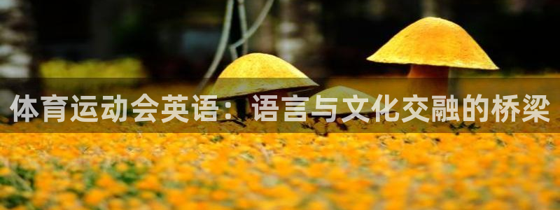 球王会体育：体育运动会英语：语言与文化交融的桥梁