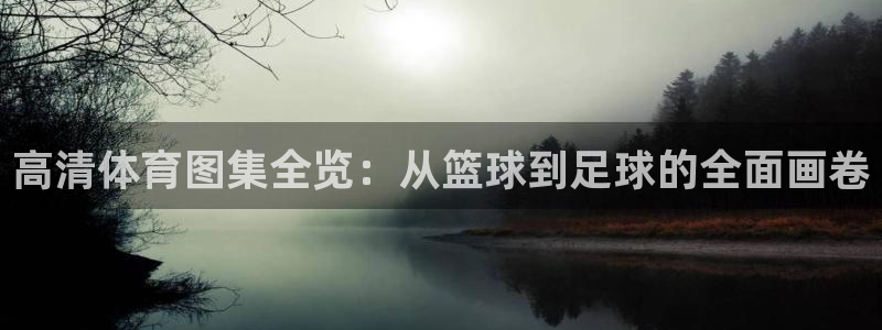 球王会体育：高清体育图集全览：从篮球到足球的全面画卷