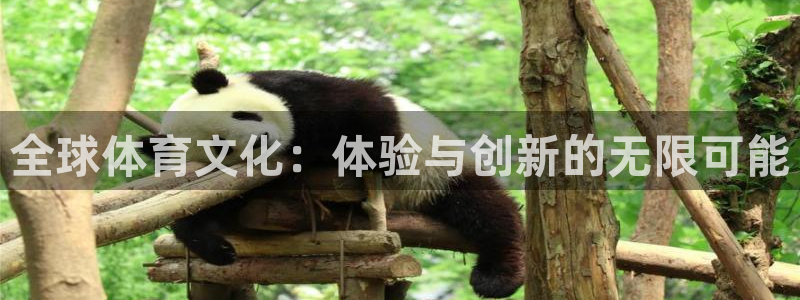 球王会体育：全球体育文化：体验与创新的无限可能