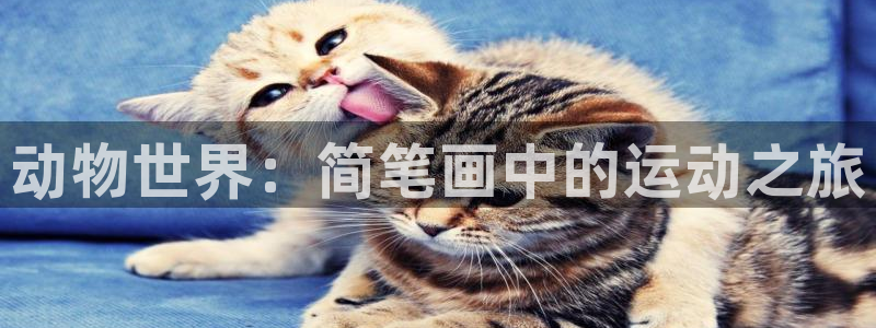 球王会体育：动物世界：简笔画中的运动之旅