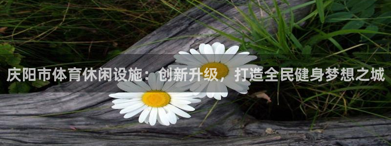 球王会体育：庆阳市体育休闲设施：创新升级，打造全民健身梦想之城