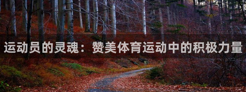 球王会体育：运动员的灵魂：赞美体育运动中的积极力量